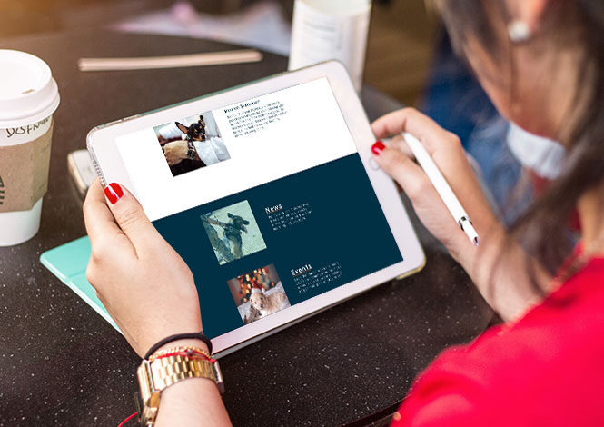 Bonaparte's Retreat website tablet
